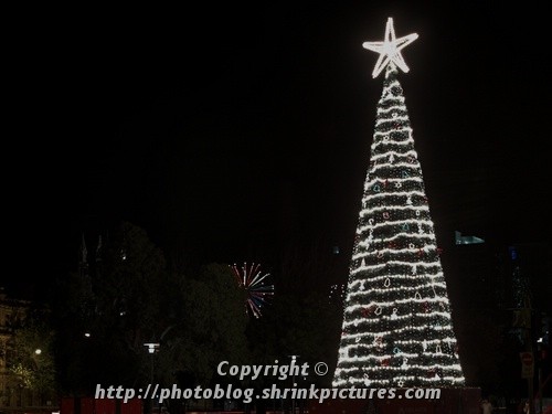 Christmas tree at night