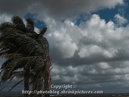 the storm