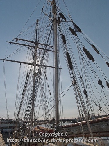 Rigging of 