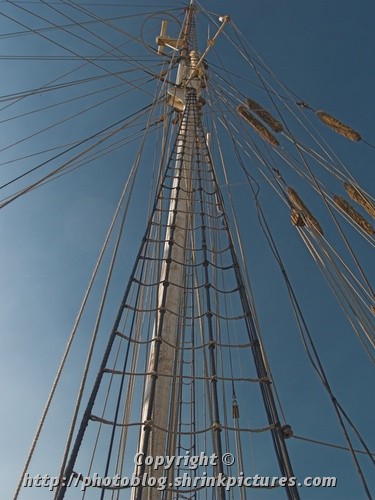 Up the Mast