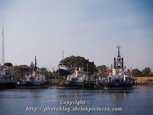 Tugboats in the pen