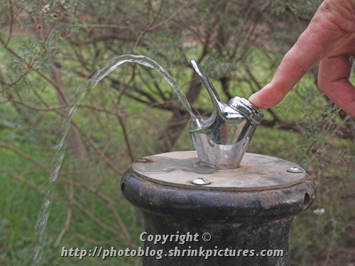 Drinking Fountain