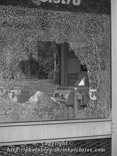 Wanton destruction II