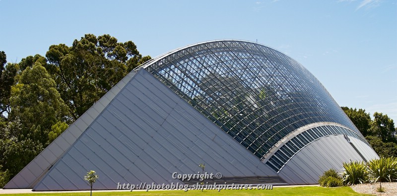 Rainforest House - Adelaide Botanical Gardens