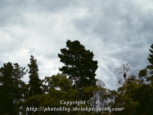 Storm Brewing