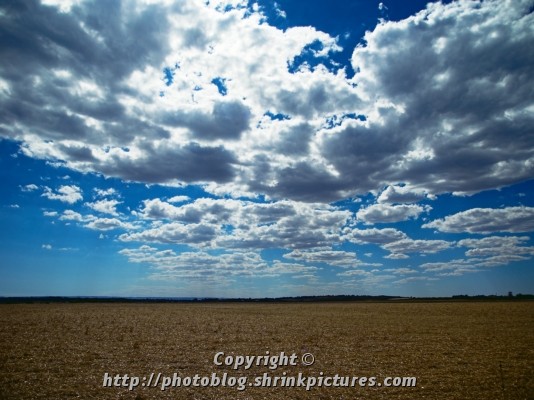 Stubble Field