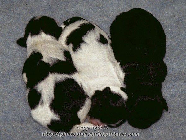 5 Days Old