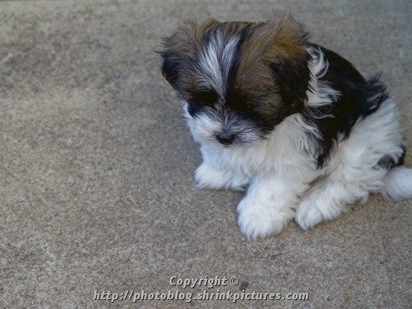 9 Weeks