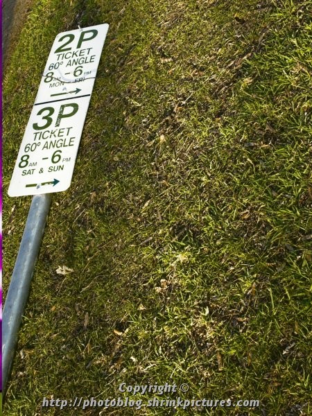 No Parking on the Lawn