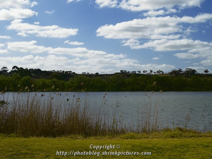 Murray River