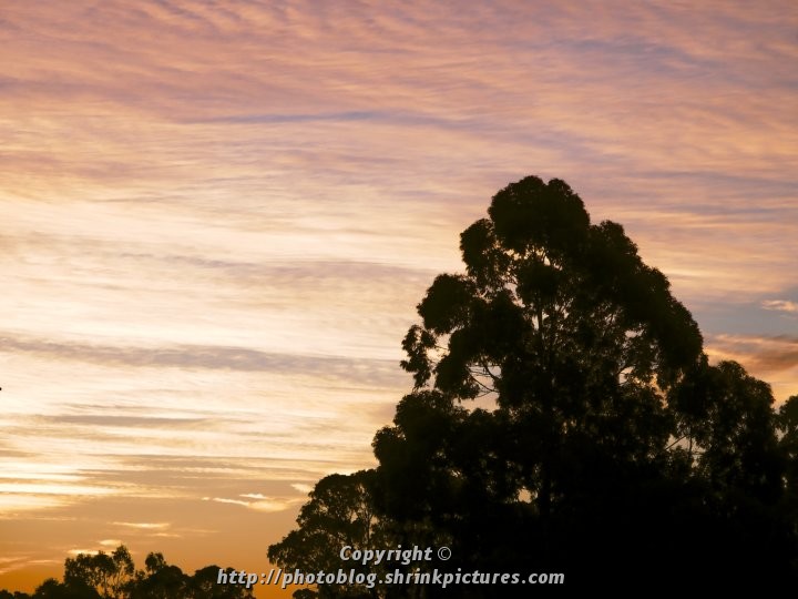 Last Light
