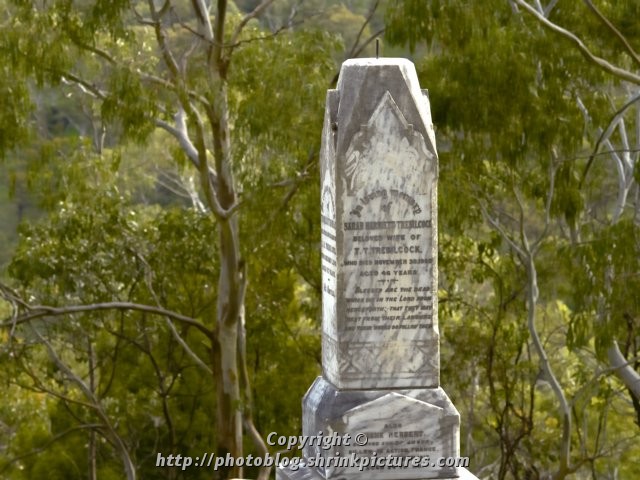 1903 Bush Gravestone