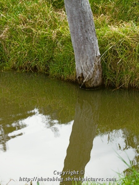 Ripples