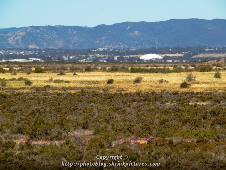 Towards the Hills