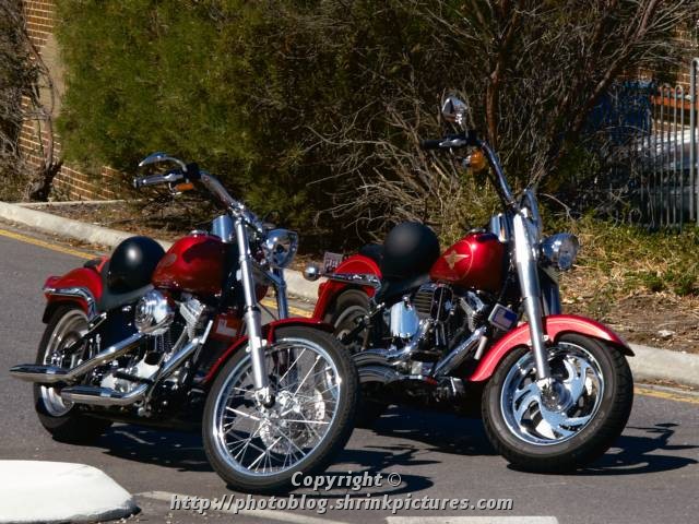 Harley and Harley