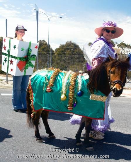 Gift Horse