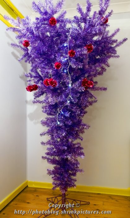 Upside Down and Purple!