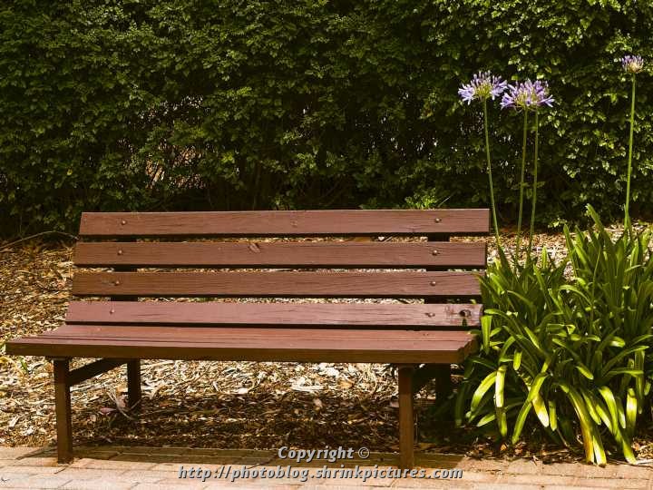 Park Bench