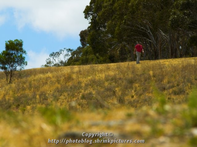 Walking
