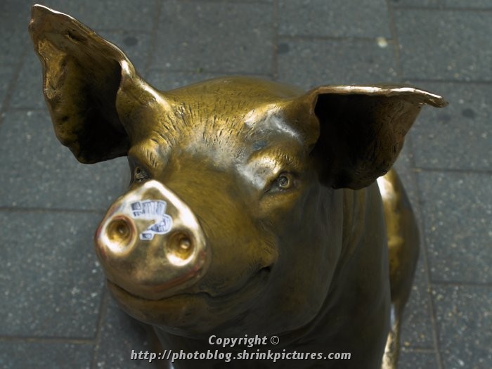Brass Pig