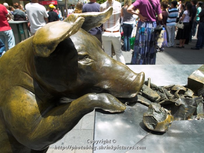 Brass Pig II
