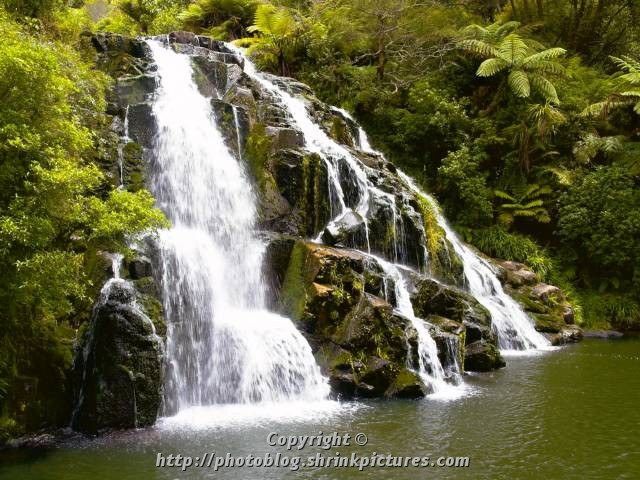 Waterfall in Rainforest