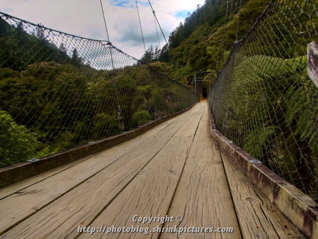 Suspension Bridge