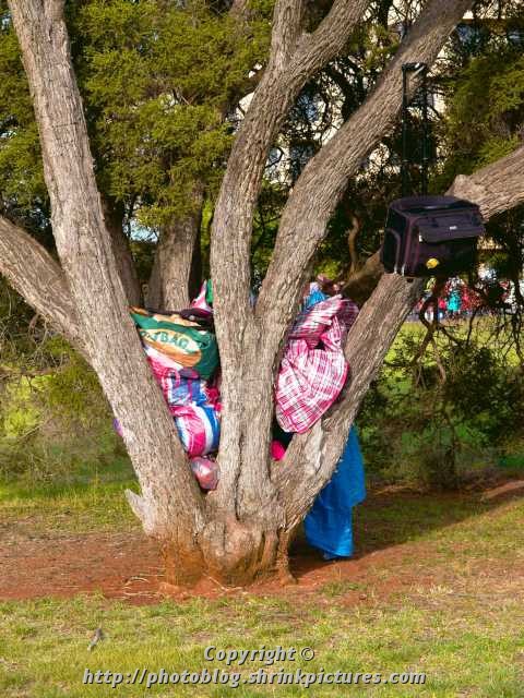 Bags in unusual places