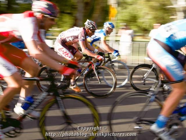 In the Pack