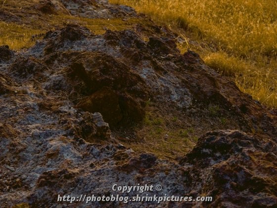 Rocks and Dry Grass