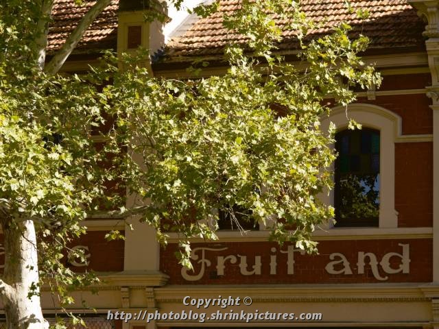Fruit and ???