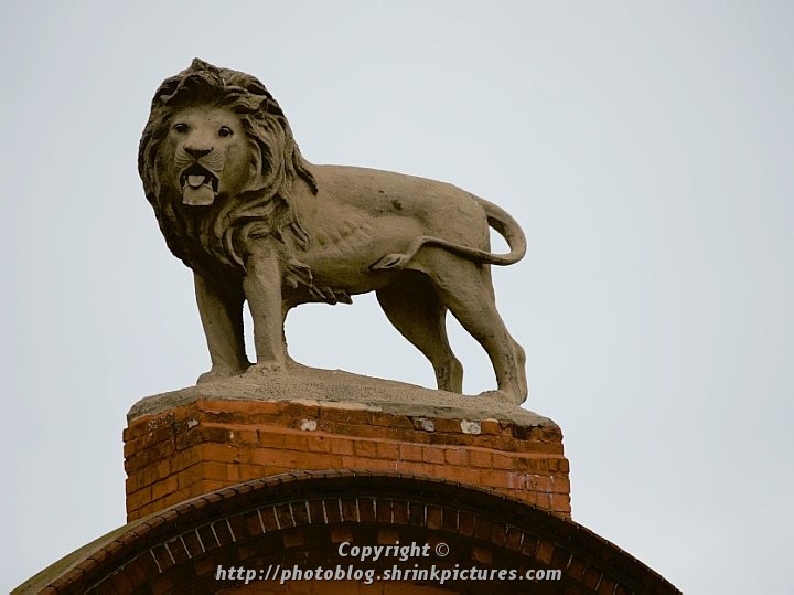 Stone Lion