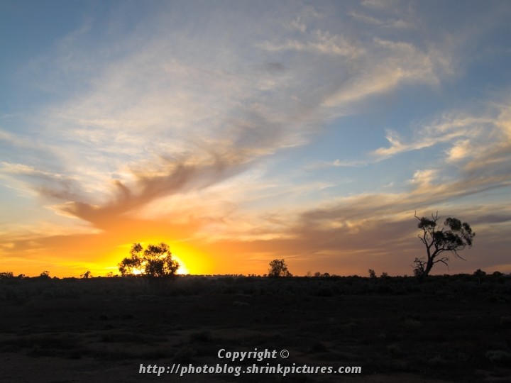 Sunset and Silhouette I