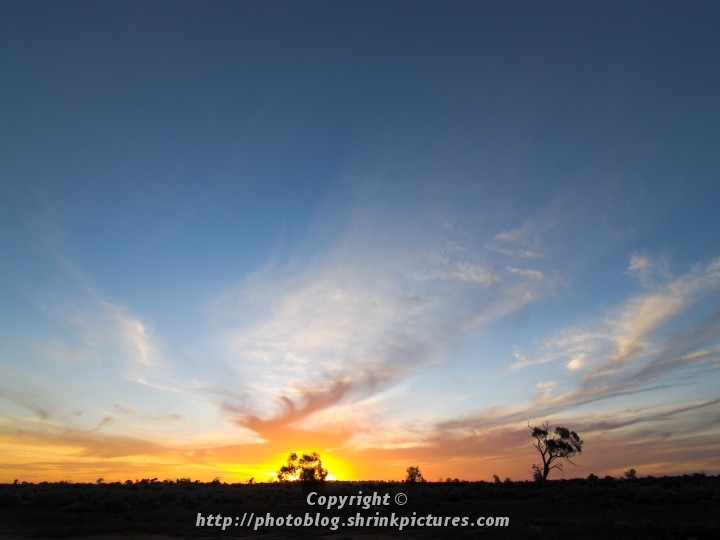 Sunset and Silhouette II