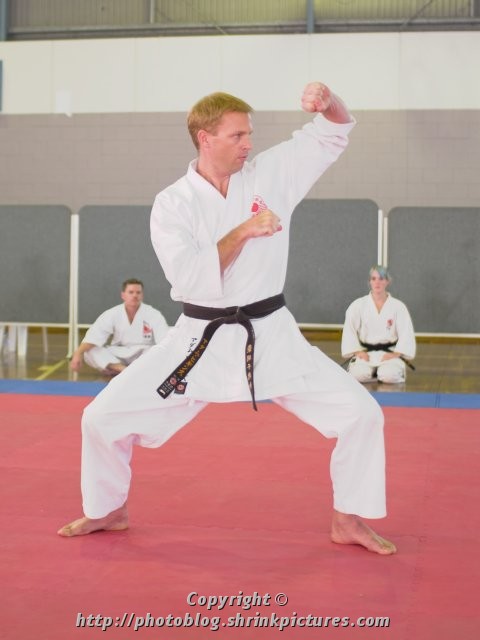 Karate Stance