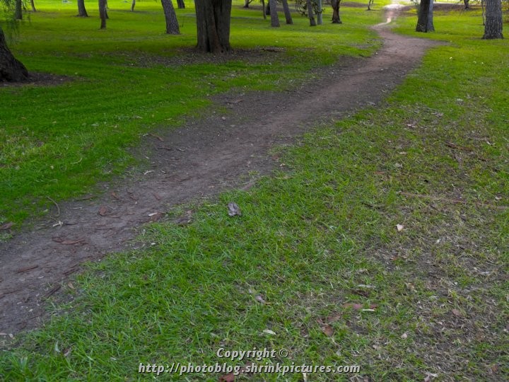 Parkland Path