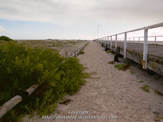 Dune Track