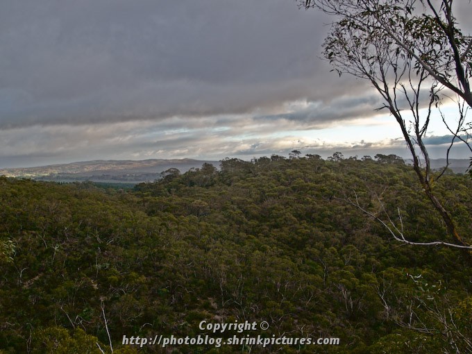 Stormclouds over the Bush