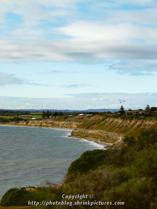 Snapper Point