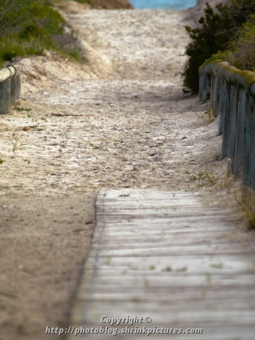 To the Beach