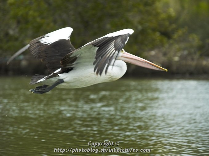 Fly By