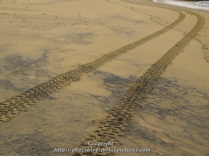 Beach Tracks