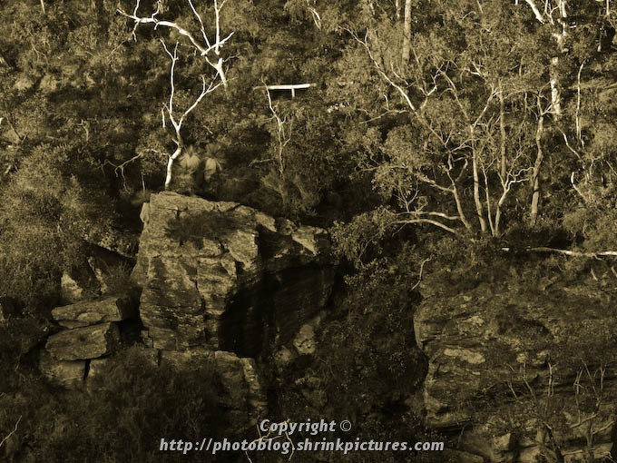 Australian Bush