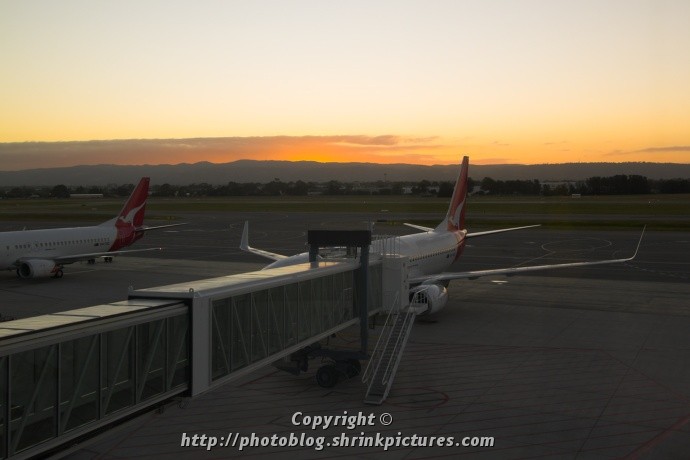 Early Morning Flight