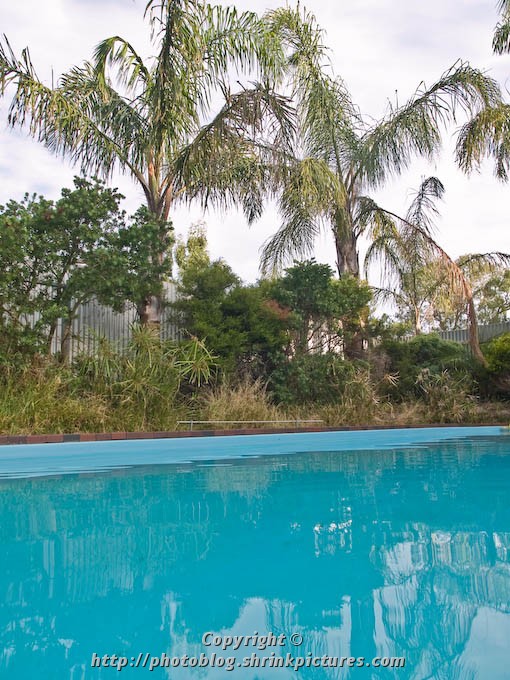 View from my pool