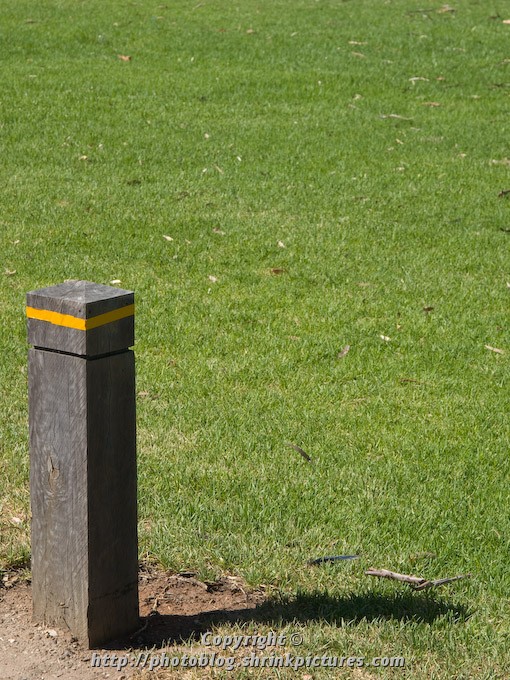 Yellow stripe