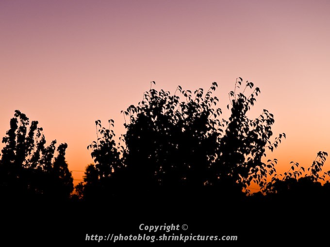 Twilight silhouette