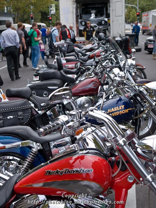 Harley