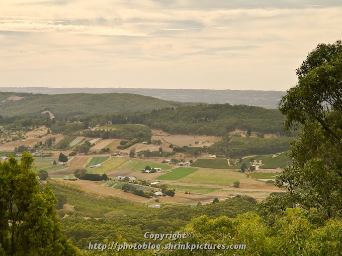 Picadilly Valley