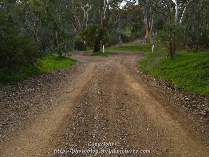 Divided Road